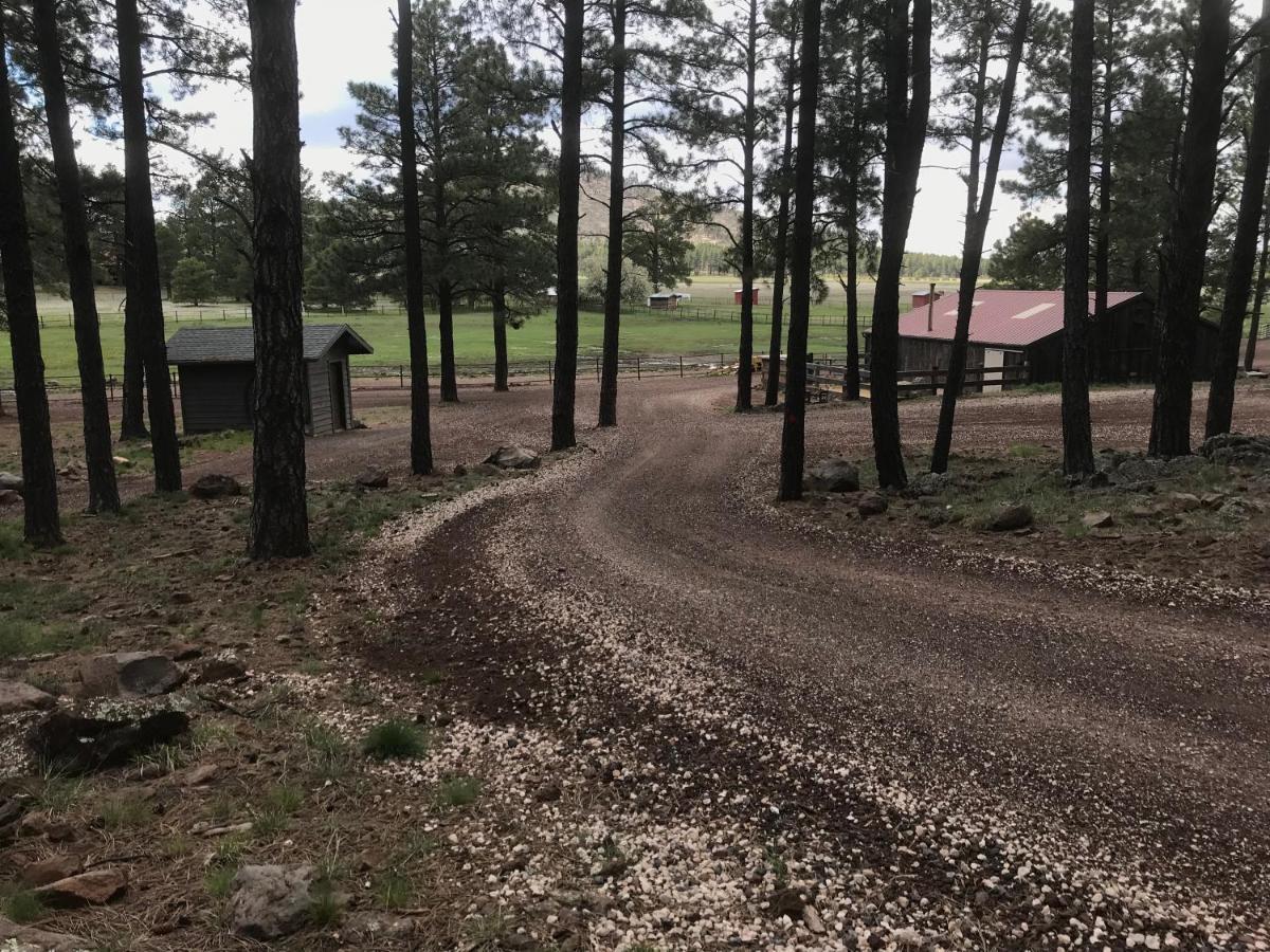 Grand Canyon 1Bd Loft/Suite-Horseback Riding-Shooting-Dogs Ok! Parks Экстерьер фото