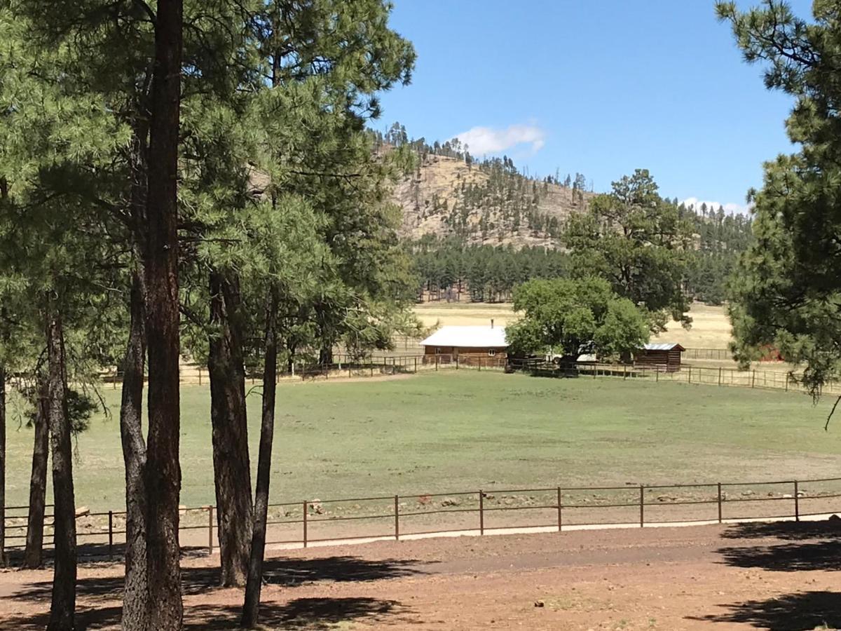 Grand Canyon 1Bd Loft/Suite-Horseback Riding-Shooting-Dogs Ok! Parks Экстерьер фото