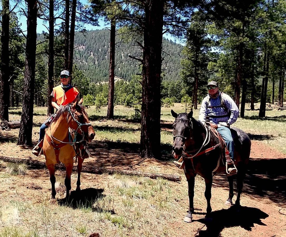 Grand Canyon 1Bd Loft/Suite-Horseback Riding-Shooting-Dogs Ok! Parks Экстерьер фото