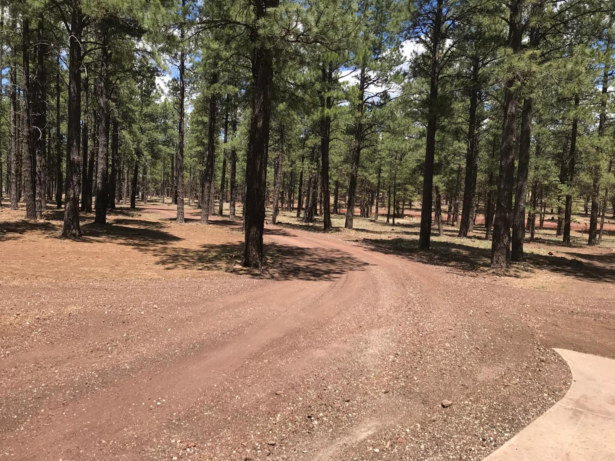 Grand Canyon 1Bd Loft/Suite-Horseback Riding-Shooting-Dogs Ok! Parks Экстерьер фото